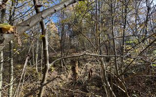 TEREN INTRAVILAN 13167 MP BUGHEA DE SUS ARGES - Poză 16