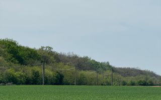 Vanzare teren 7.000 mp – Buftea, zona Tămași | lângă pădure - Poză 2