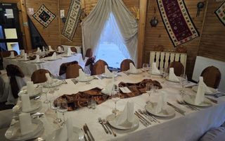 VILA - PENSIUNE CU RESTAURANT + SI TEREN 6406 MP, VALEA MARE PRAVAT, - Poză 6