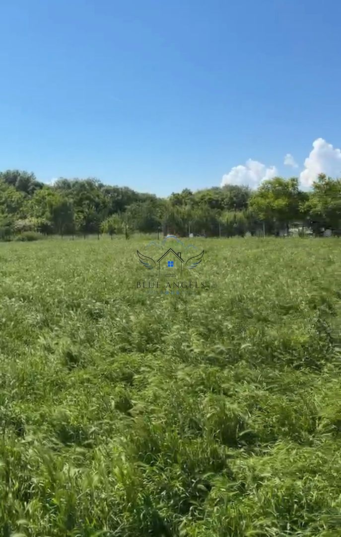 OPORTUNITATE lot de 1952mp in zona LIVADA, Sanpetru - Poză 2