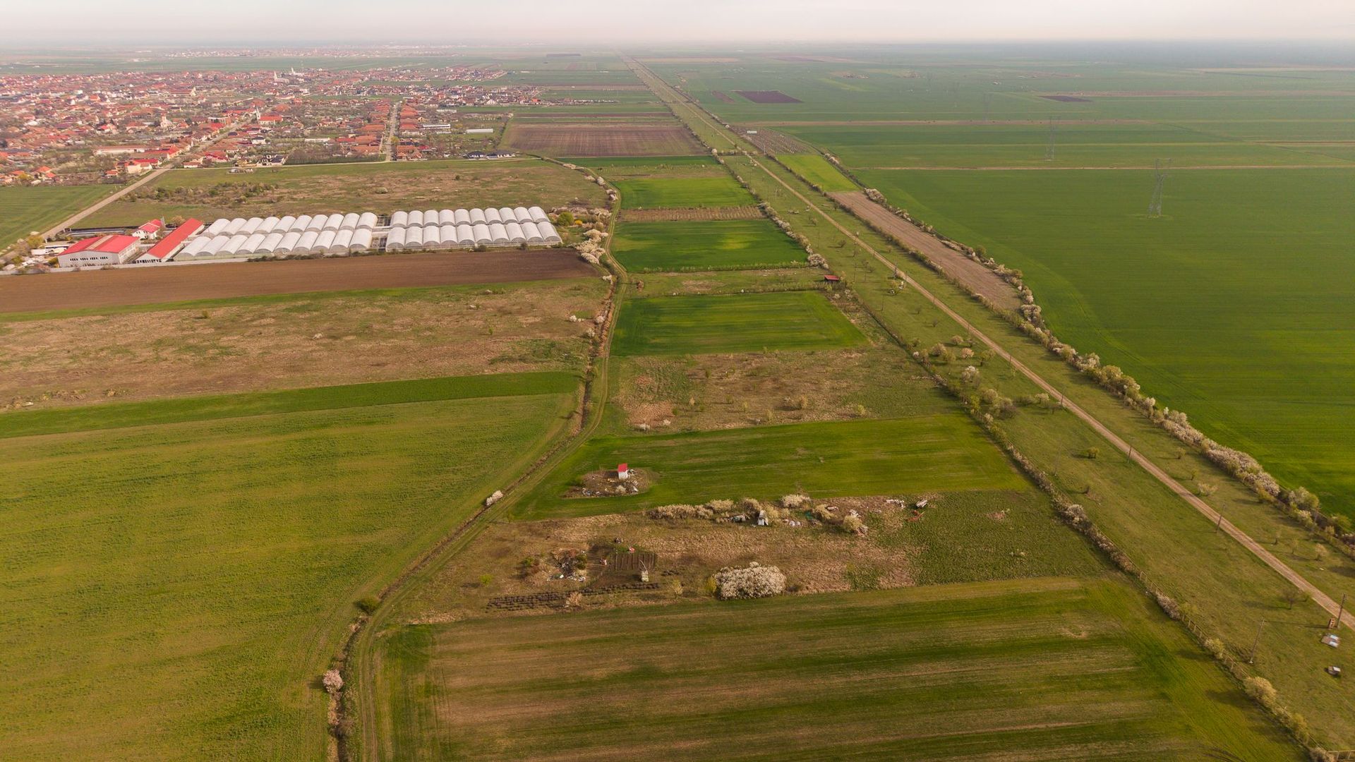 Teren intravilan 6150 mp – Sânleani, jud. Arad - Poză 4