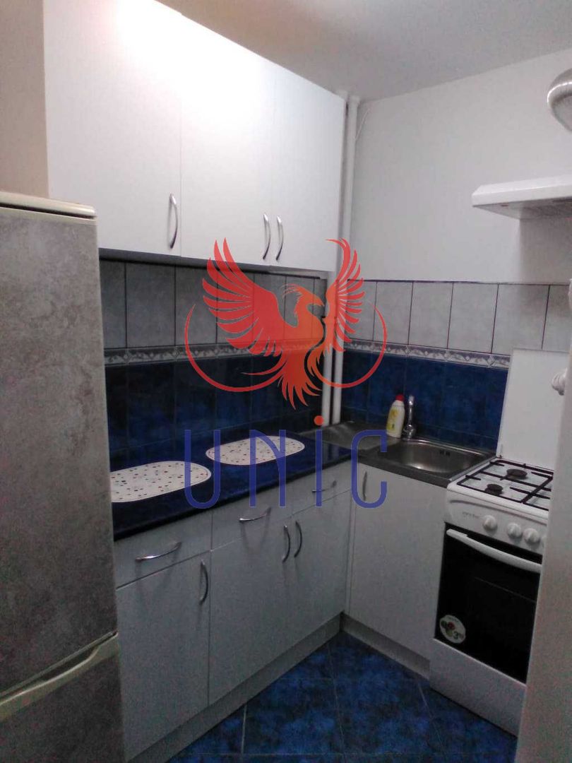 Garsoniera Brazda lui Novac, parter - 65 000 Euro - Poză 4