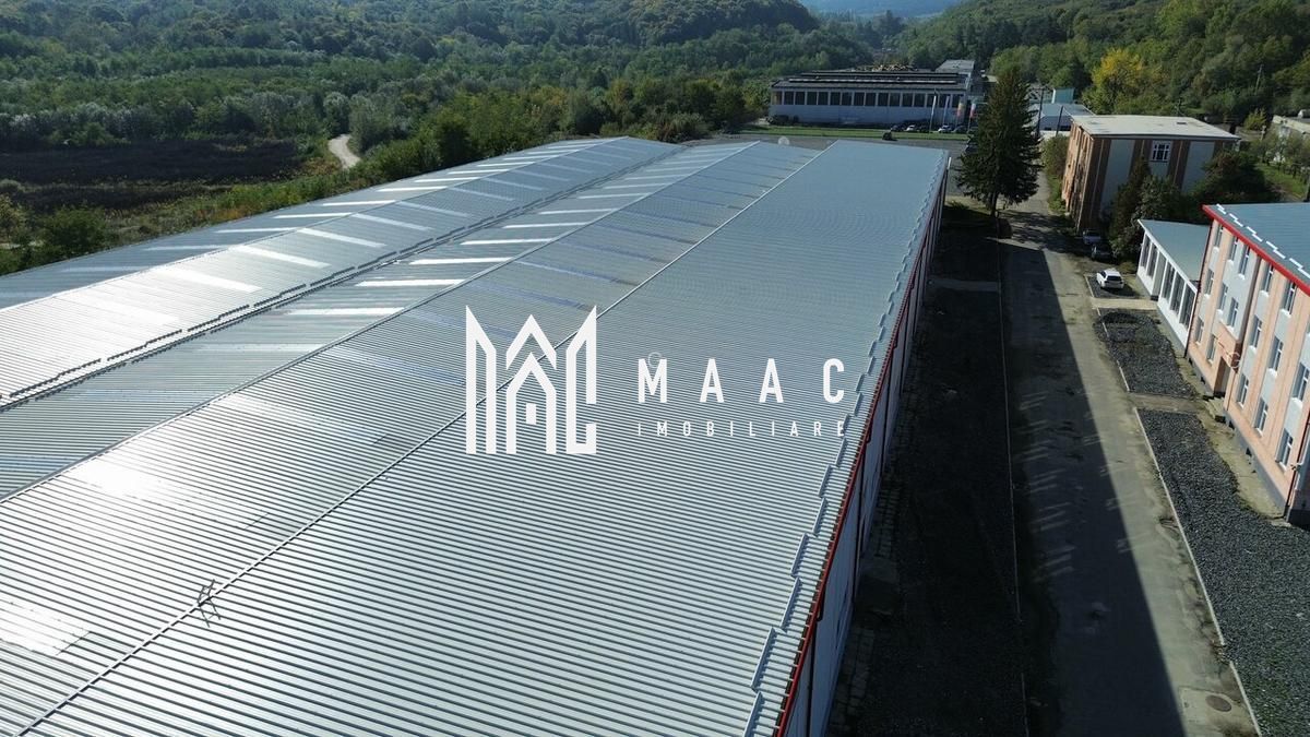 Hala producție I 6857 mp I Acces TIR I Pod Rulant I Mârșa - Poză 10