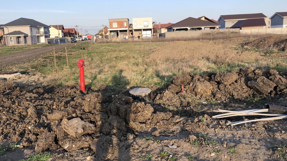 Teren Sinandrei - 2 FS- zona str Lalelelor - Poză 2