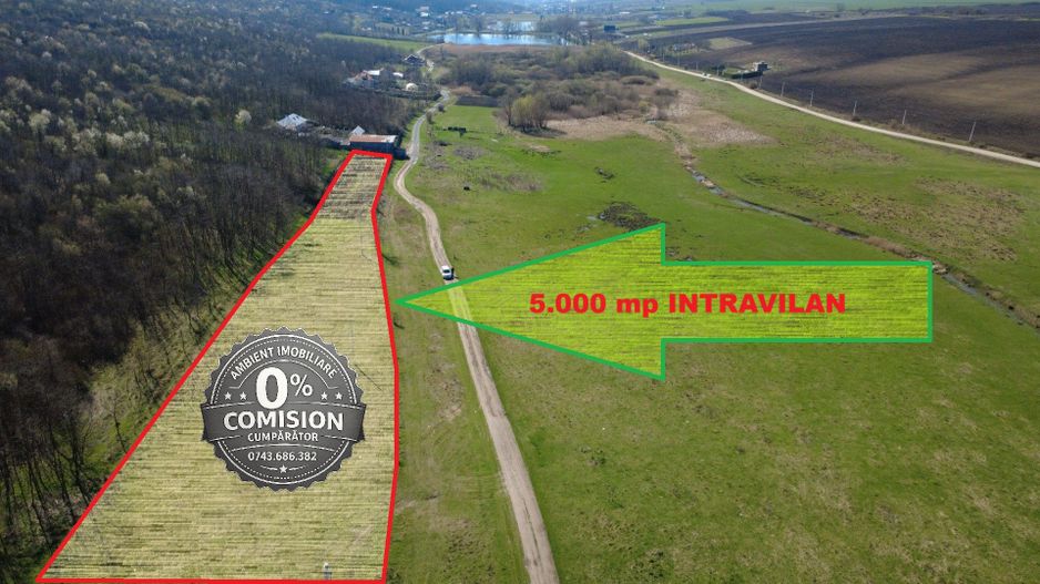 TEREN INTRAVILAN 5.000 mp, VASLUI - zona LAC DELEA; - Poză 1