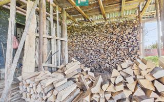 Casă solidă cu 5 camere in localitatea Almaș, Arad - Poză 23