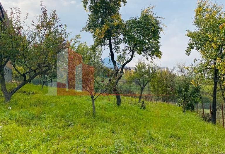 Casa + teren 1700 mp langa Padure Bran/ Predelut - Poză 13