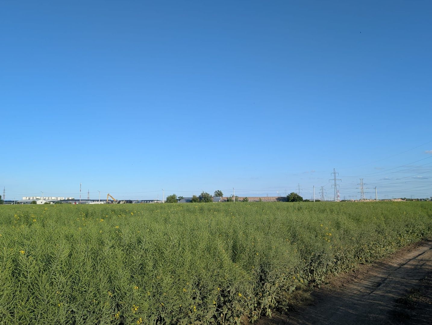 Teren de vanzare Domnești - Str. Narciselor - 20312mp - Poză 6