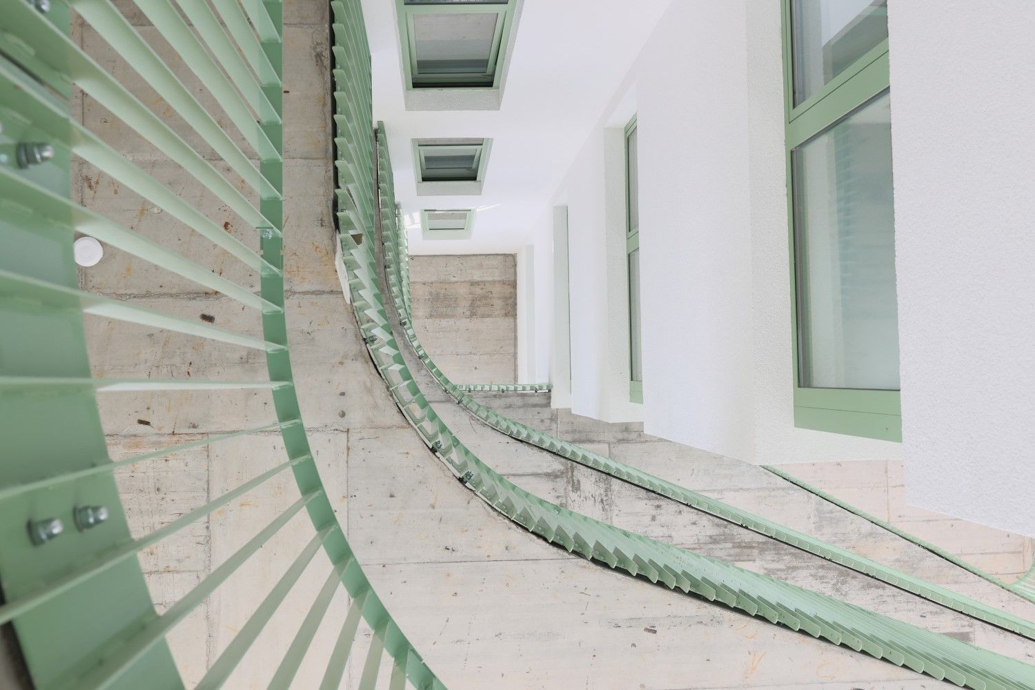 303 BY RADACINI - Poză 6