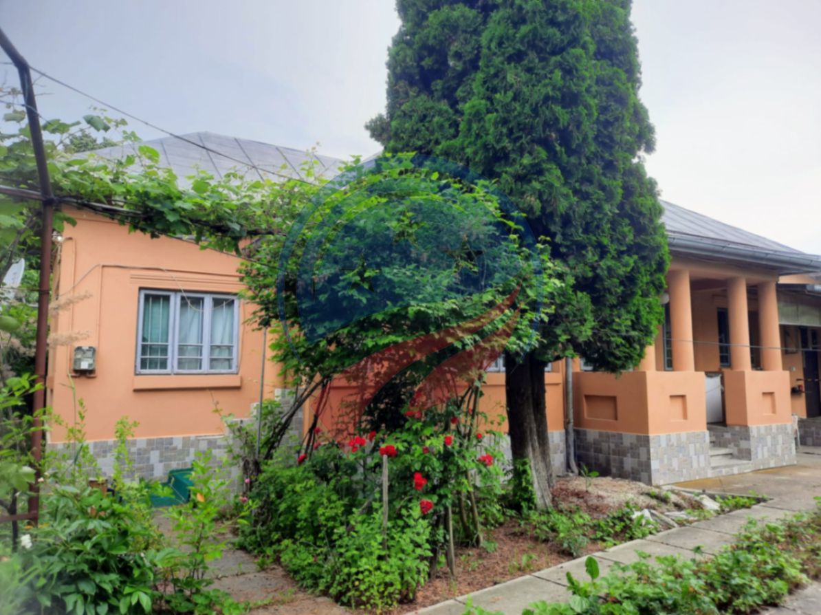 Casa de vanzare/Balcesti/Valcea/Str Pietii - Poză 18