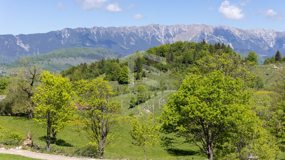 Fundata-Teren de vanzare 15,771 mp intravilan+extravilan+padure - Poză 7