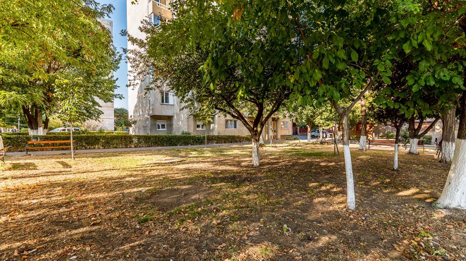 🏡 3 camere, 2 băi, parter – Aurel Vlaicu | 79.000 € - Poză 13
