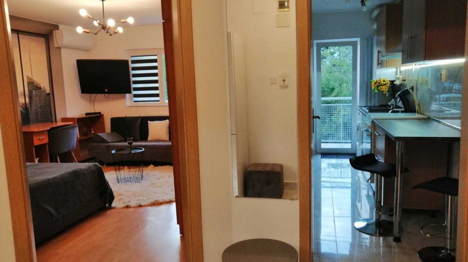 Apartament cu o camera decomandat | 45 mp + 12 mp terasa | Zorilor | UMF | USAMV - Poză 3