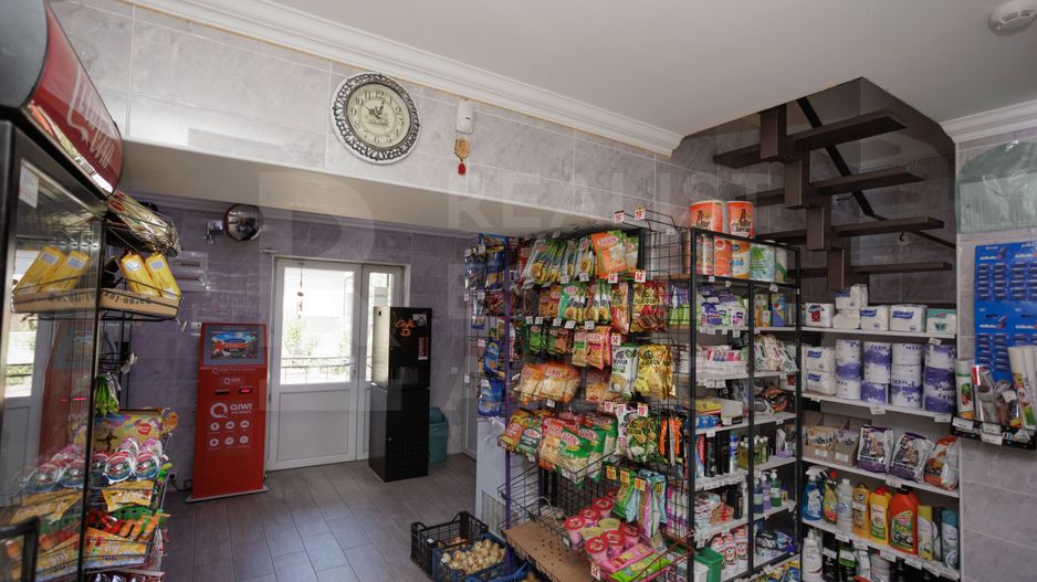 Vânzare, casă + afacere, str. Cetatea Albă, Botanica - Poză 32