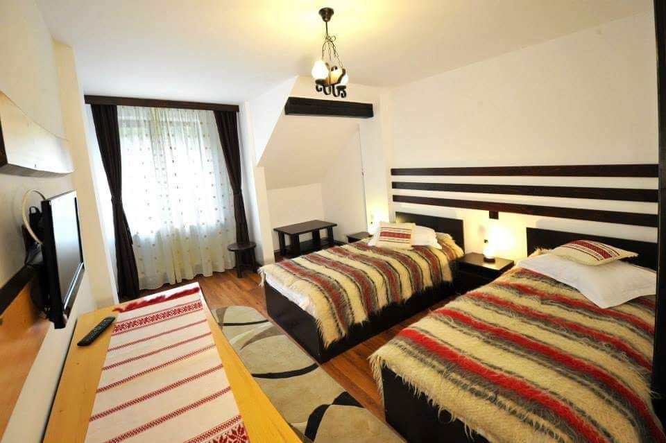 Pensiune de Vânzare în Brădetu – Acces la Apă Sulfuroasă, Vedere rau si munte - Poză 8