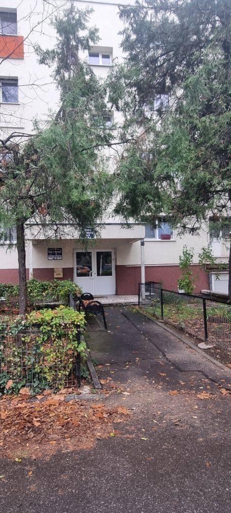 APARTAMENT SPATIOS  IN VILA CU GARAJ  SI BOXA ZONA PAJURA COMISION 0 CUMPARATOR - Poză 2