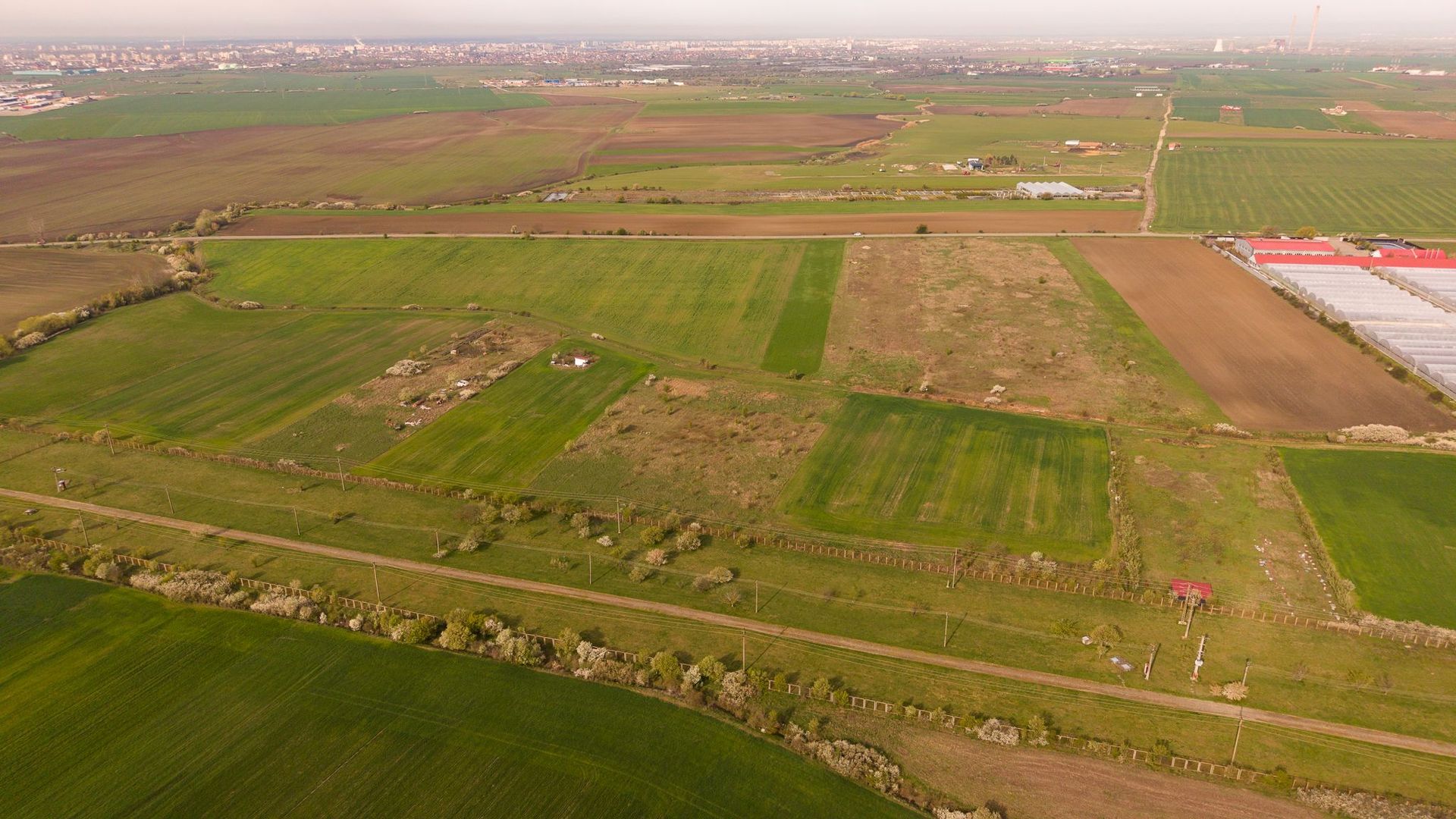 Teren intravilan 6150 mp – Sânleani, jud. Arad - Poză 5