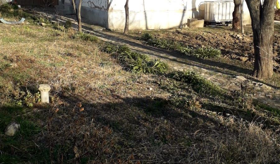 2 corpuri de casa 125 mp construiti + 1587 mp teten intravilan ! - Poză 3