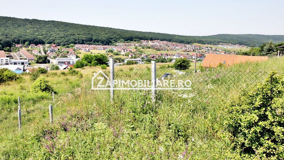 Teren 5.000 mp Corunca in spate la Dacia 40 euro mp - Poză 3