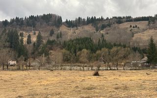 TEREN INTRAVILAN 500 MP SĂTIC- RUCĂR - Poză 20