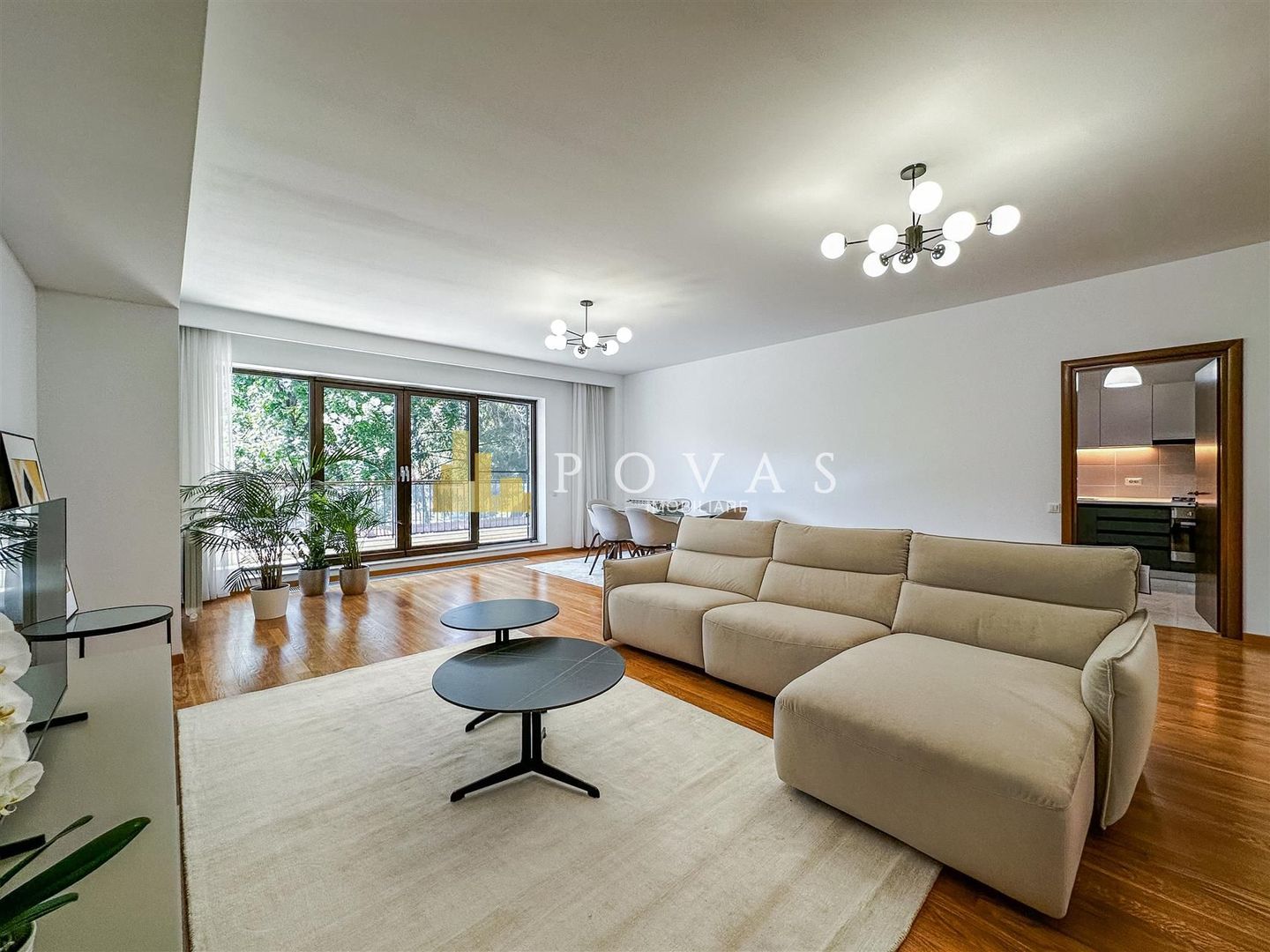 Inchiriere Apartament Kiseleff Aviatorilor 4 Camere - Poză 2