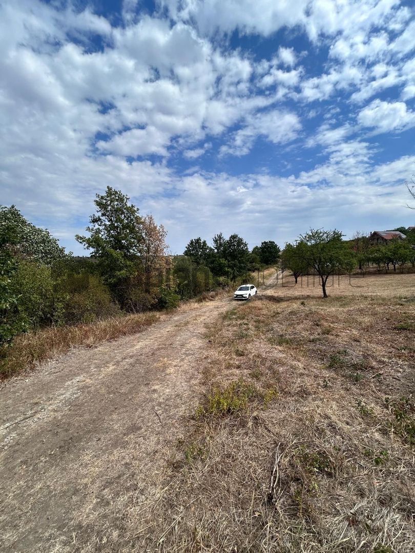 Sapient | Teren intravilan în Săldăbagiu de Munte 4.316 mp - Poză 3