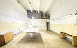 Hala industriala | Freidorf | Timisoara - Poză 10