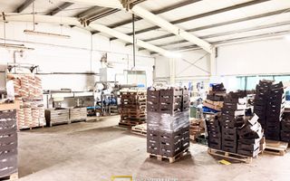 Hala industrială de vanzare Arad 540 mp, depozitare la rece, acces TIR - Poză 6