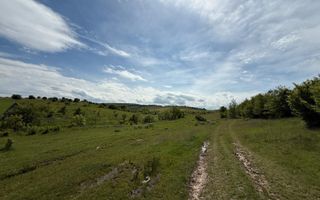 Teren de vânzare în Salistea Noua! - Poză 2