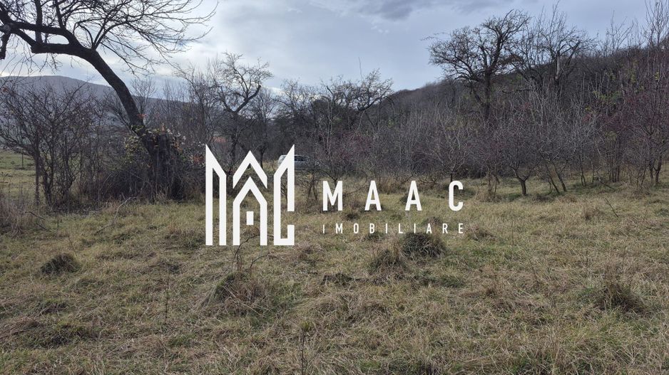 Teren de vanzare | Orlat | Extravilan - Poză 3