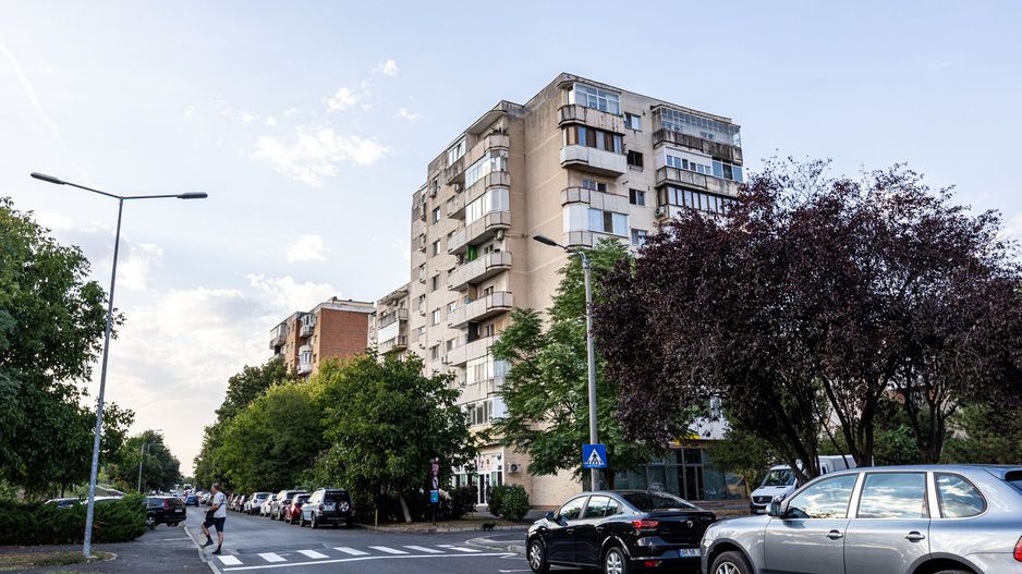REZERVAT!Vedere directă spre faleza Mureșului, Micalaca 300 - Poză 2