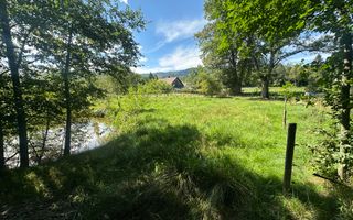 Teren 15 Ari | Cu Iaz & Terasat | Drumul Principal | 40.000 € - Poză 1