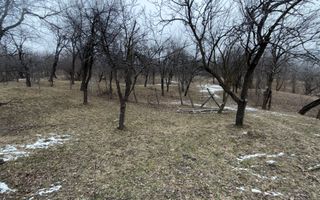 Teren 4652 mp cu izvor pe el, Lunca Mare, lângă păstrăvăria Doftana - Poză 10