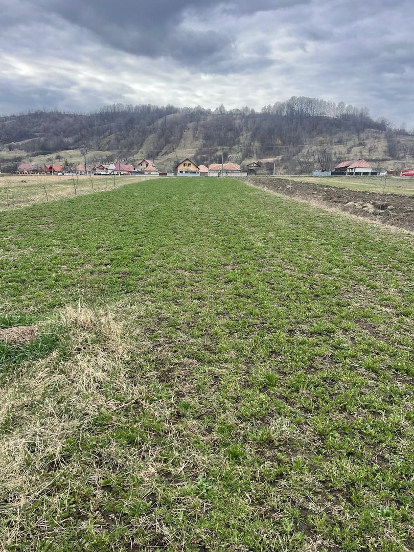 Vânzare teren 3145 mp – Mănăstirea Cașin, Onești - Poză 7