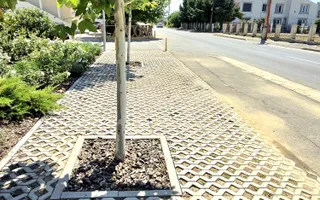 Spațiu Comercial Premium 100 mp | Balotești | Comision 0% - Poză 12