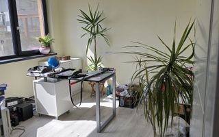 COMISION 0%, Casa Individuala, 6 Camere, 156 Mp, 550 Mp Teren, SACALAZ - Poză 9