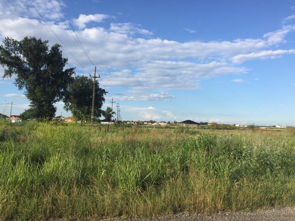 Teren intravilan in comuna Domnesti - sat Teghes - Poză 5