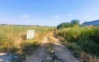 Teren Cernica intravilan 1000 mp - Poză 1