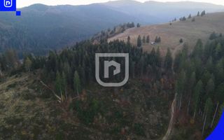 Teren situat in Frasin | BUCOVINA - Poză 6