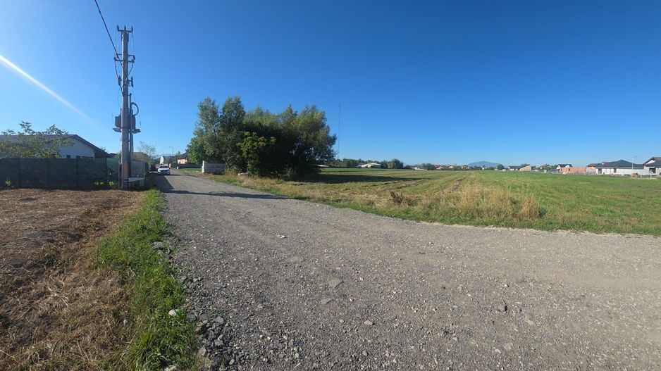 Teren Bod Colonie,strada Lalelelor - Poză 4
