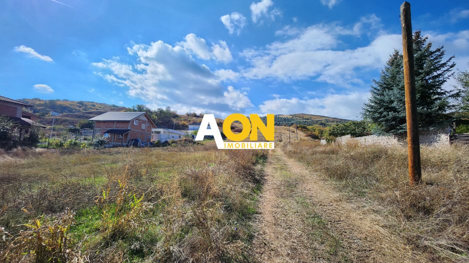De vanzare 3624mp teren intravilan, zona Micesti partea stanga - Poză 5