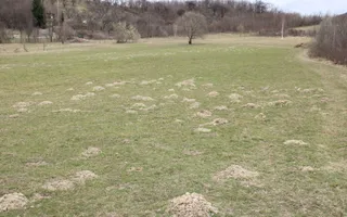 Teren Sebesul de Sus I 1100 mp I facilitati in apropiere - Poză 17