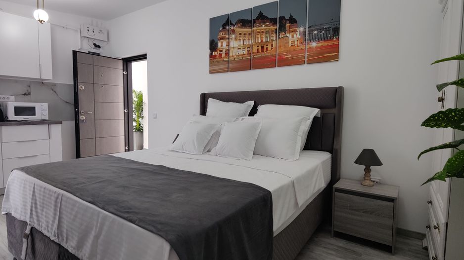 Studio modern, 30 mp | Strada Samuil Vulcan - Poză 4