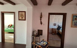 Casa cu mesteacan - DIRECT PROPRIETARI! - spectaculos toamna - Poză 5