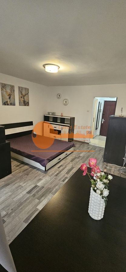 Garsoniera langa Plaza Mall - Poză 6