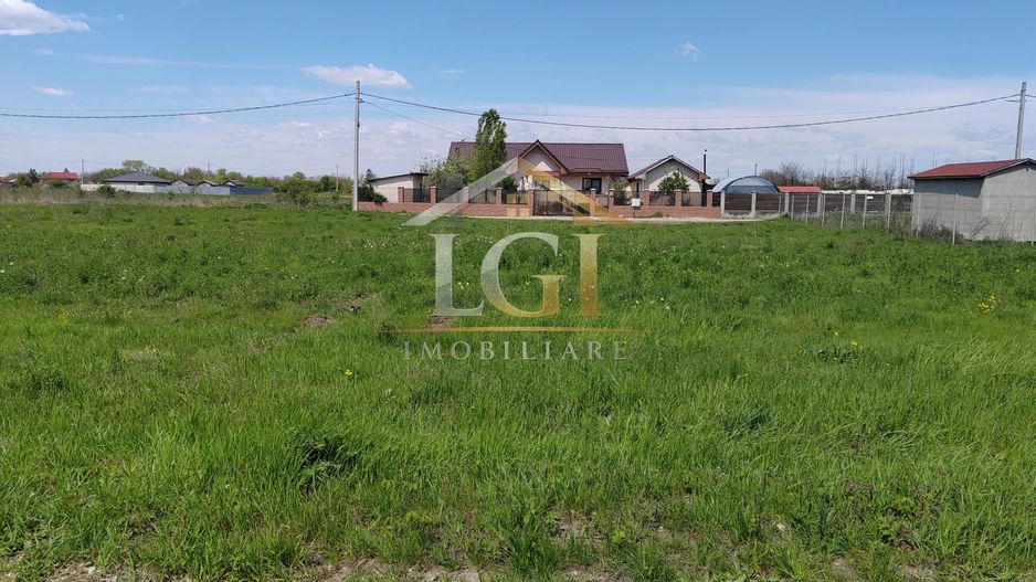 🌿 Teren de vânzare – Răcari, Str. Mestecenilor - Intrarea cu Tei - Poză 2