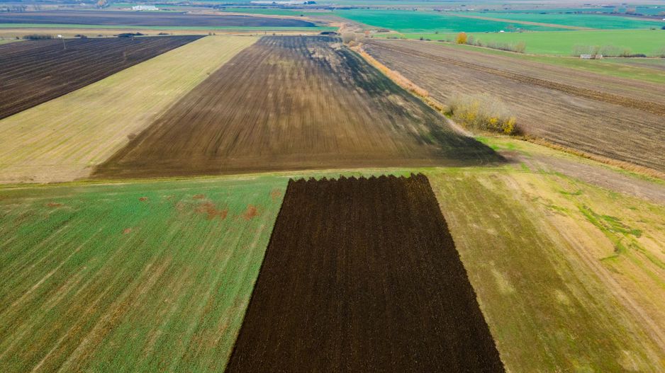 Teren Sânpaul lângă șosea - Poză 2