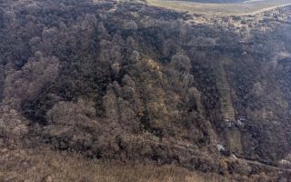 Teren în Ghioroc pe deal - Poză 5