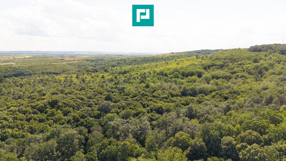 TEREN AGRICOL EXTRAVILAN  22.900 MP LIPOVA - Poză 4