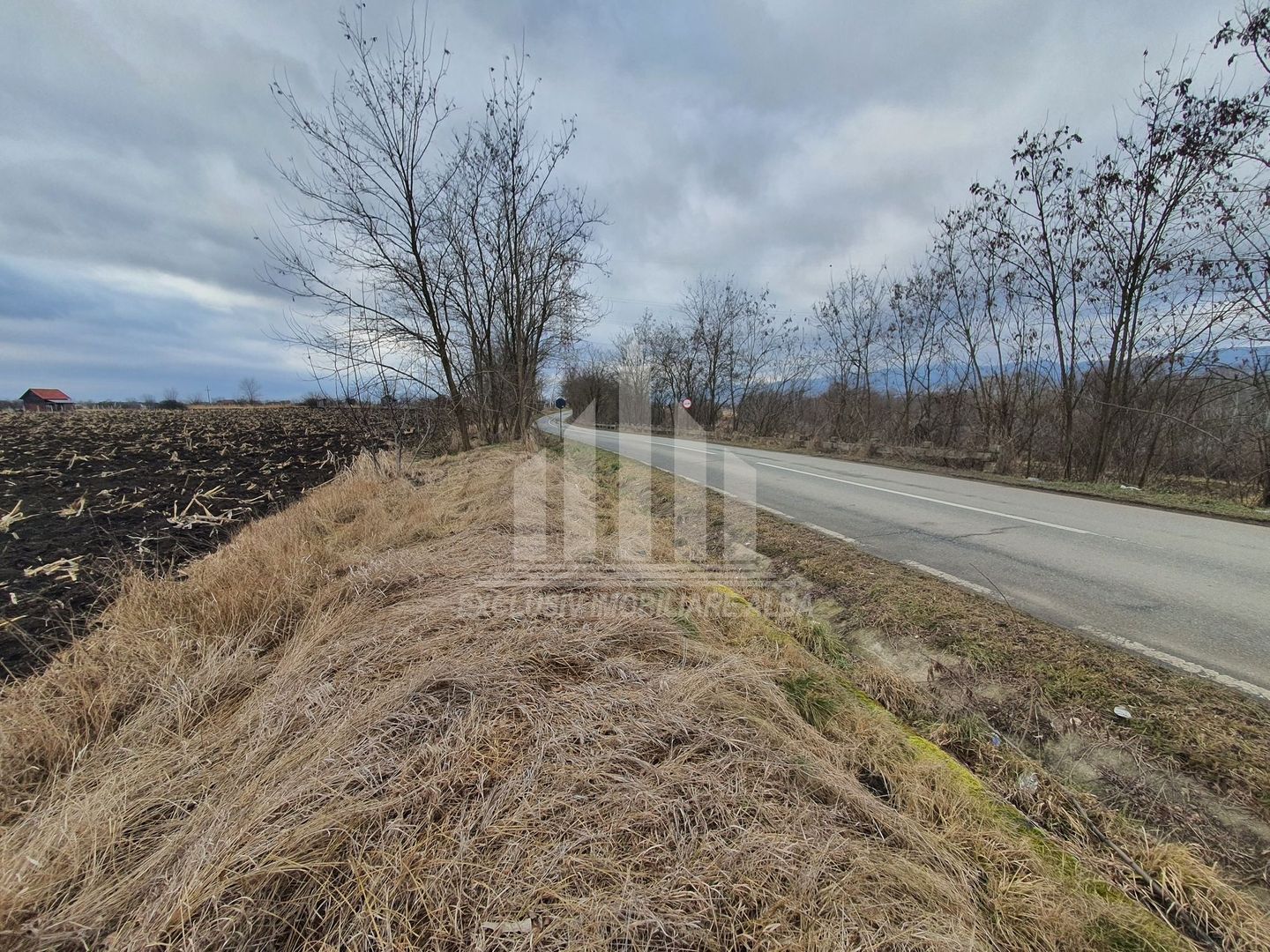 Vand teren extravilan - Poză 5